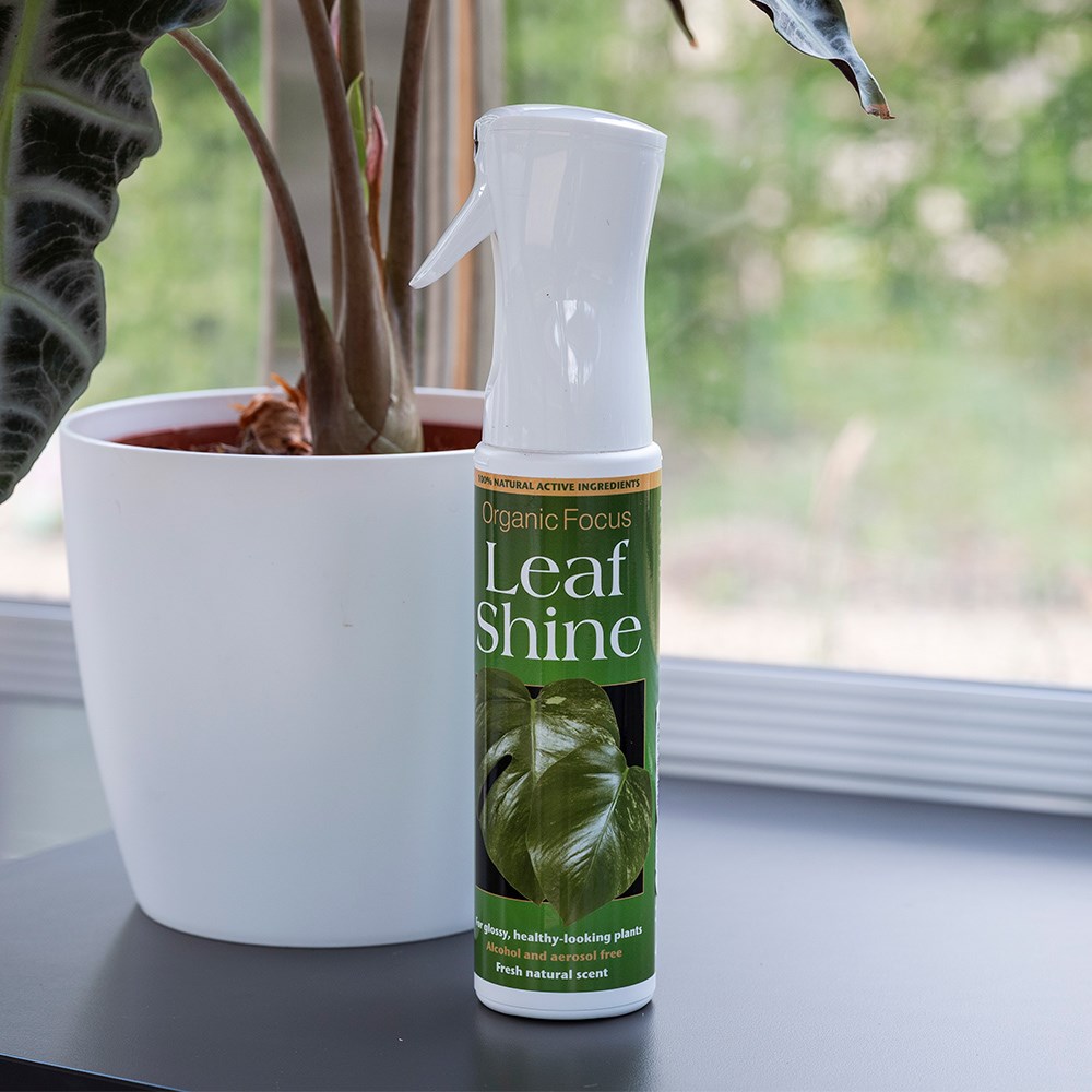 Organic leaf shine