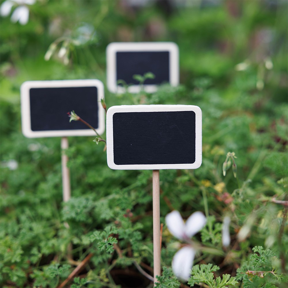 Large blackboard & wood plant label - set of 6