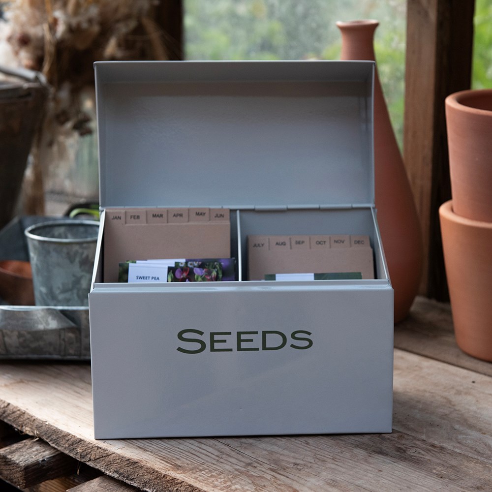 Calendar seed storage box