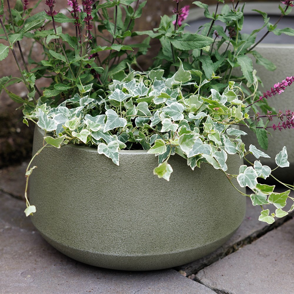 Set of three low bowl planters - green