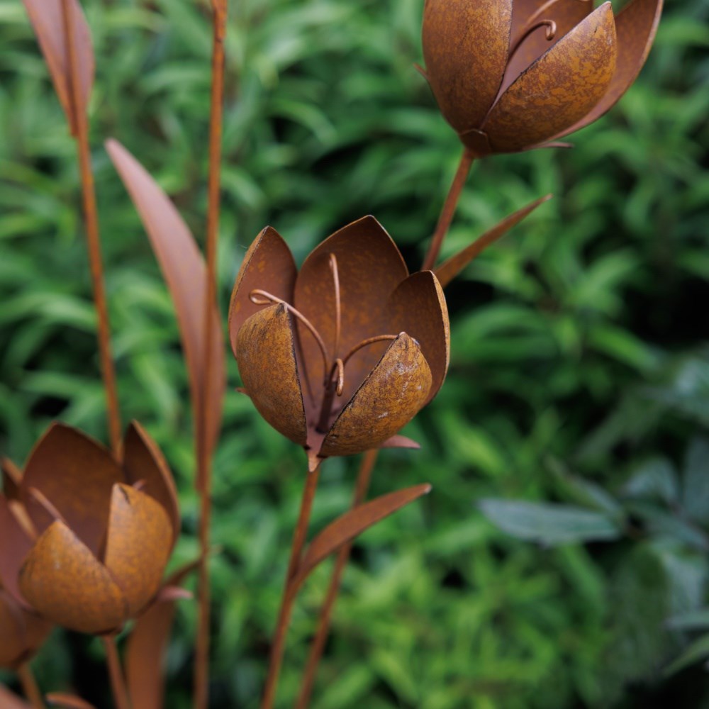 Rusted tulip cluster stake