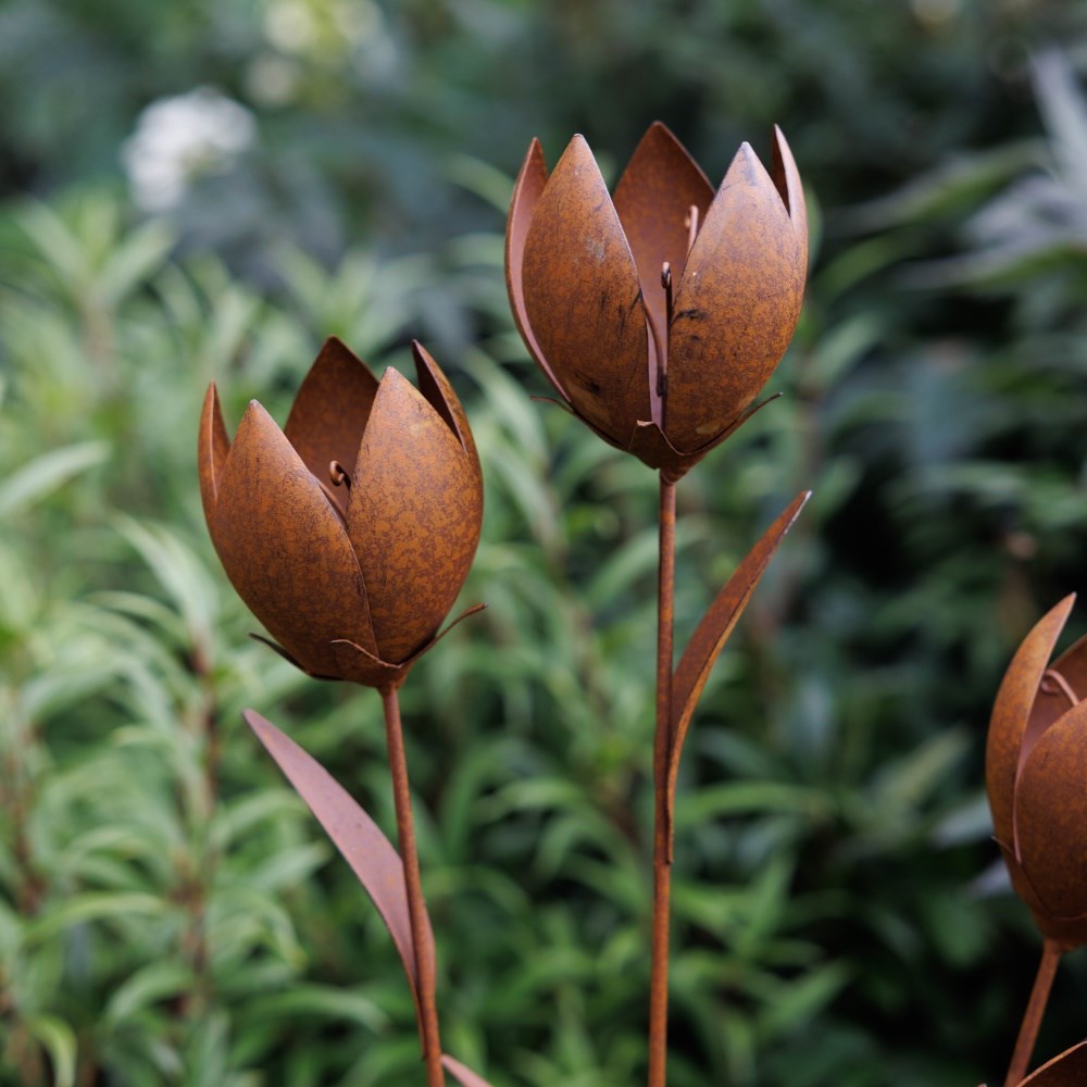 Rusted tulip cluster stake