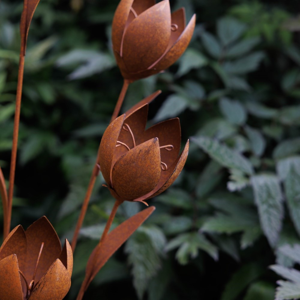 Rusted tulip cluster stake