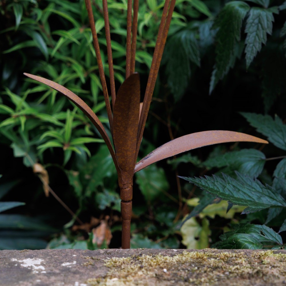 Rusted tulip cluster stake