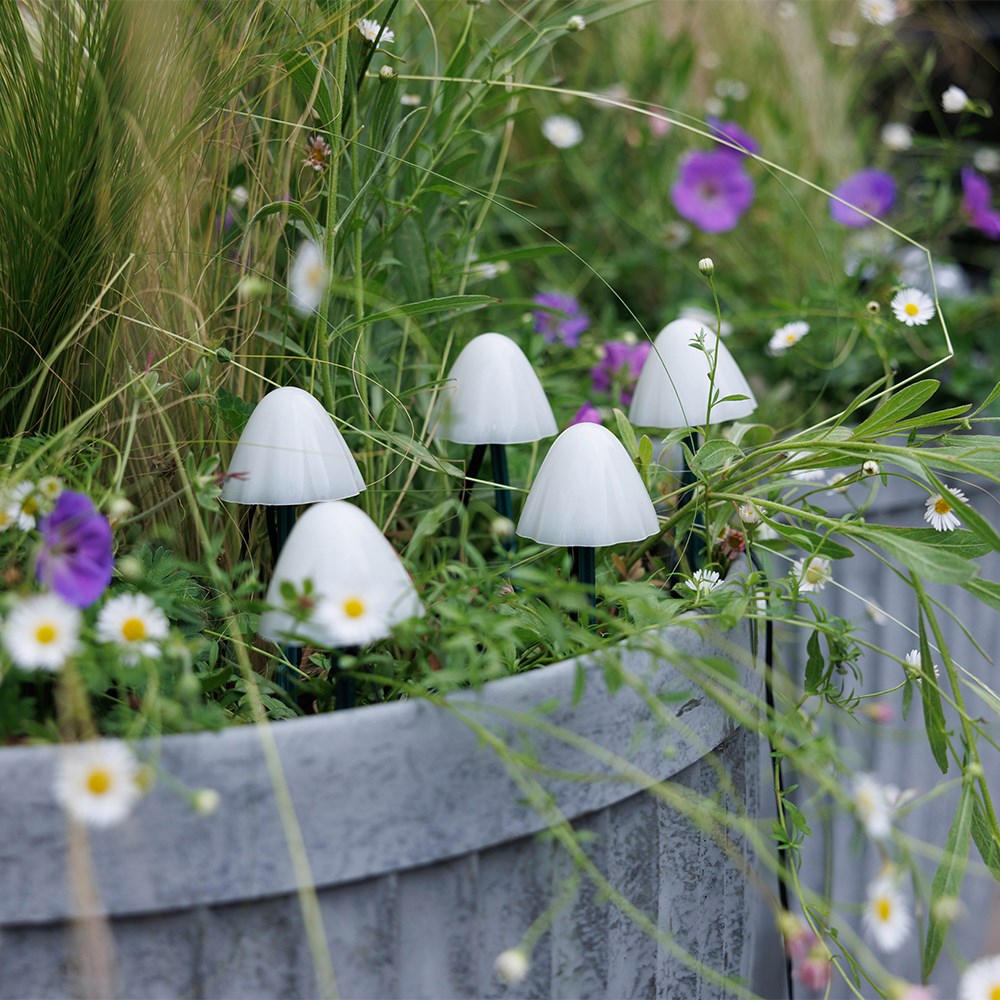 Solar mini mushroom stake lights