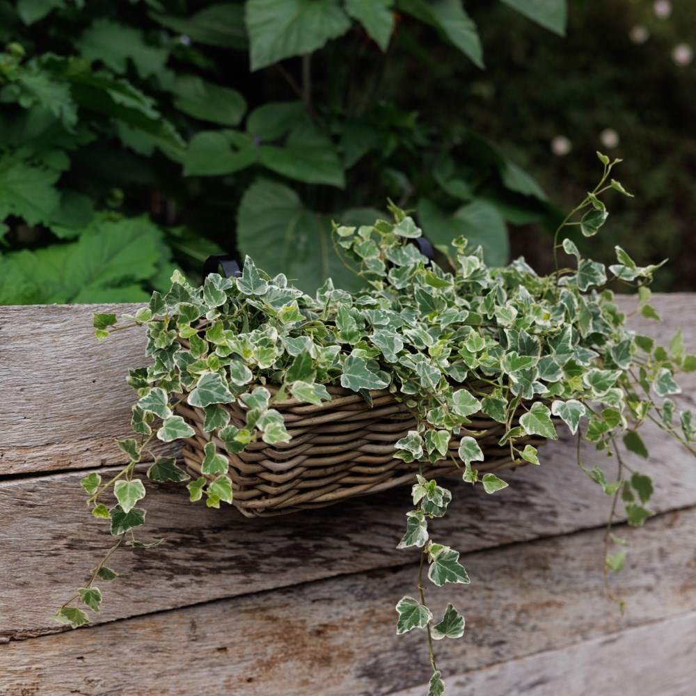 Rattan balcony basket planter