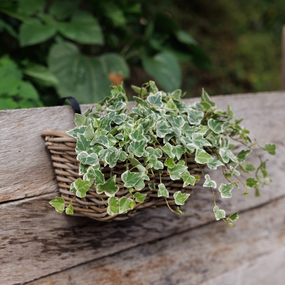 Rattan balcony basket planter