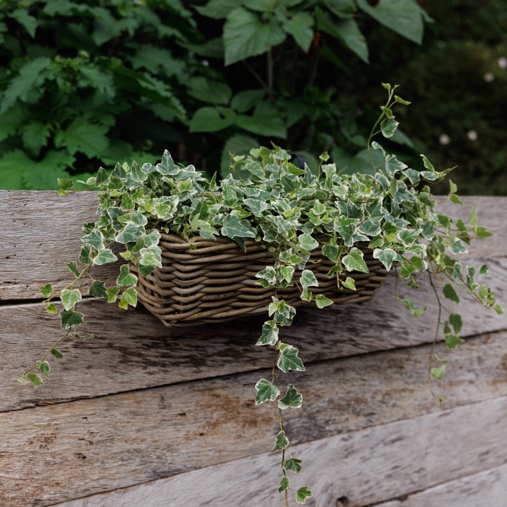 Rattan balcony basket planter