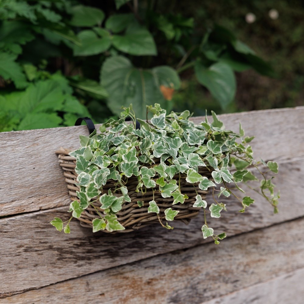 Rattan balcony basket planter