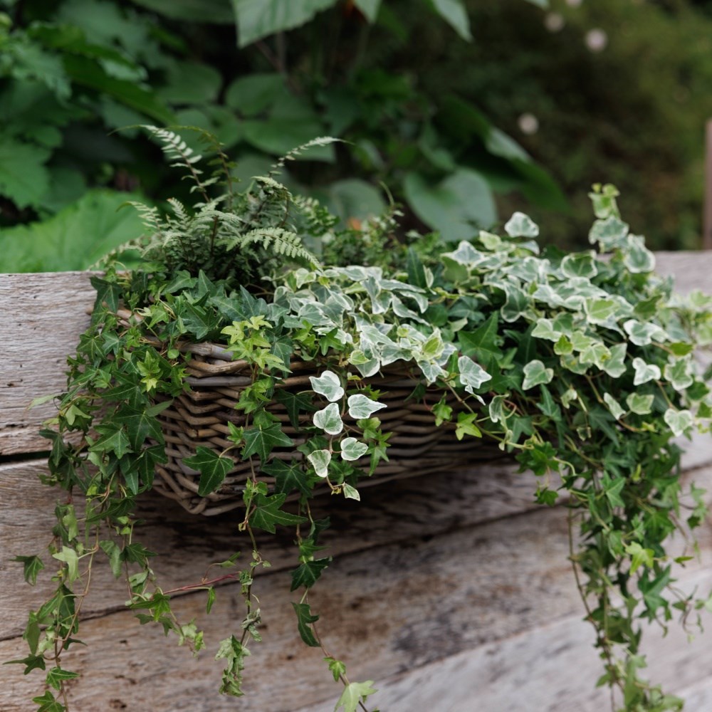 Rattan balcony basket planter