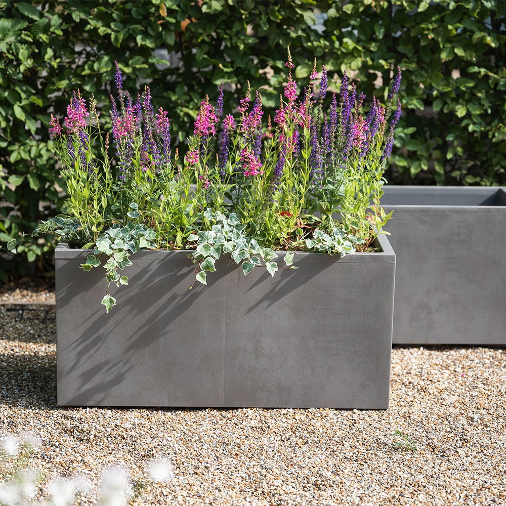 Millennium trough sandstone