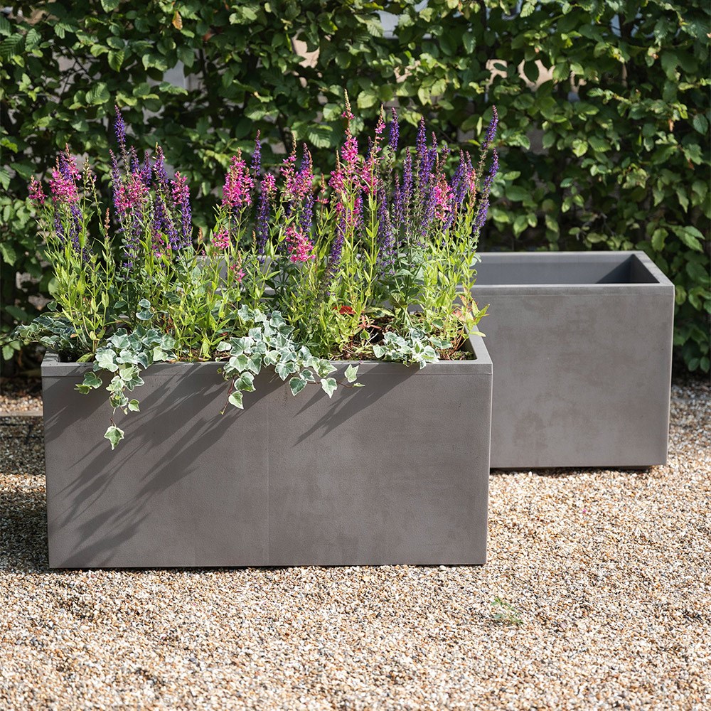 Millennium trough sandstone