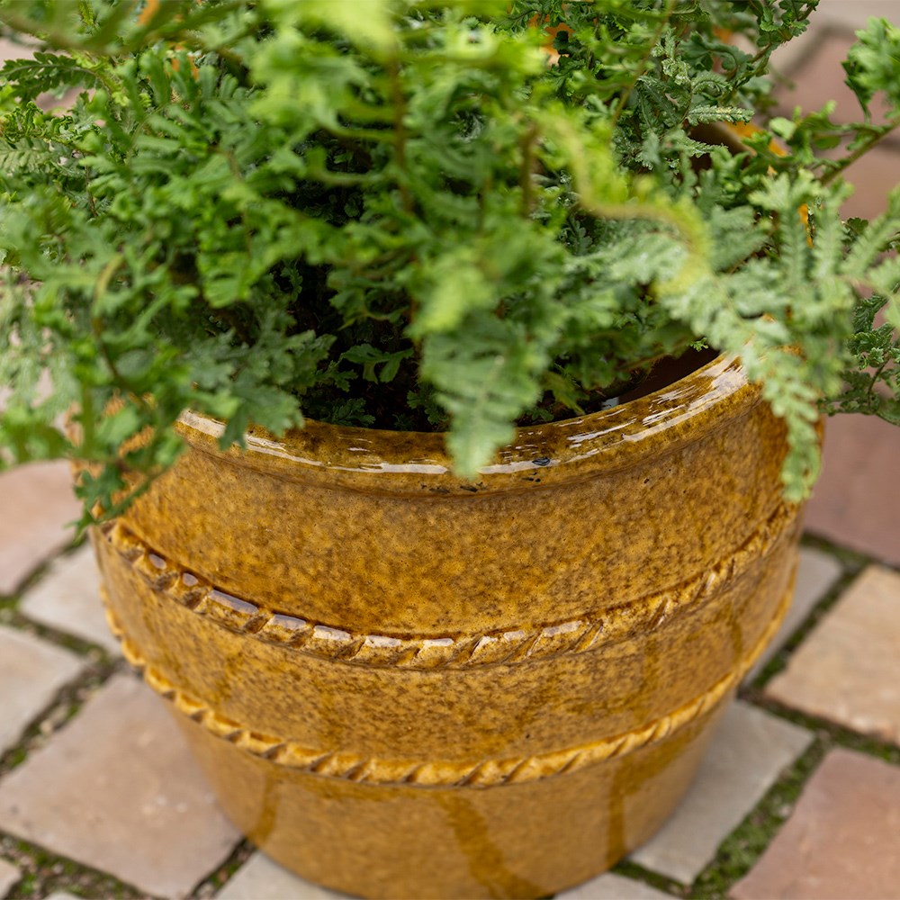 Glazed terracotta planter with rope detail - ochre
