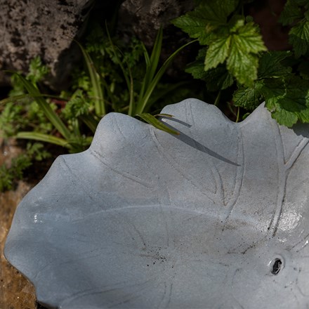 Solar pond edge leaf water feature