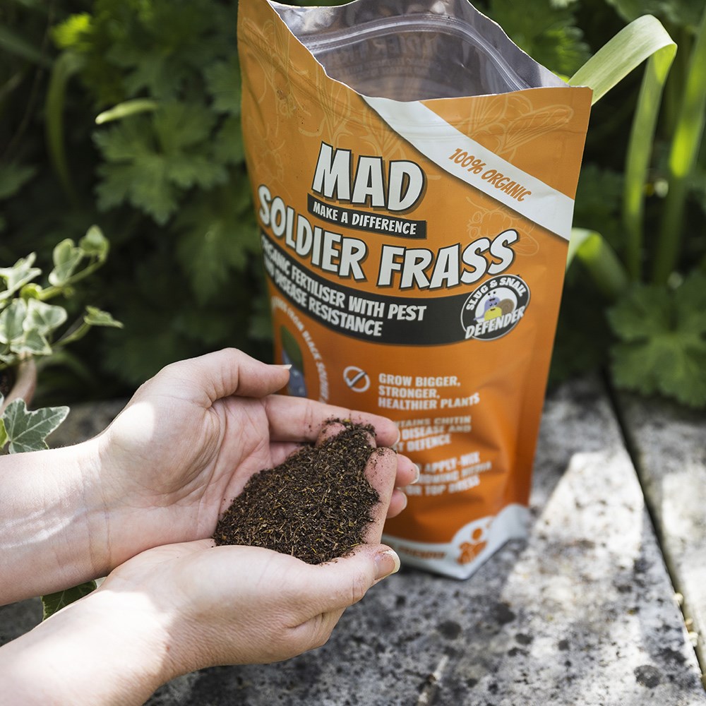 Frass organic fertiliser with pest and disease resistance