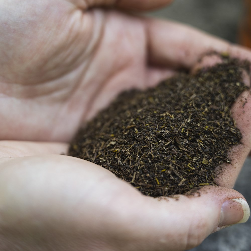 Frass organic fertiliser with pest and disease resistance