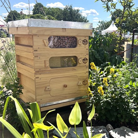 Complete bee keeper starter pack - buzz box