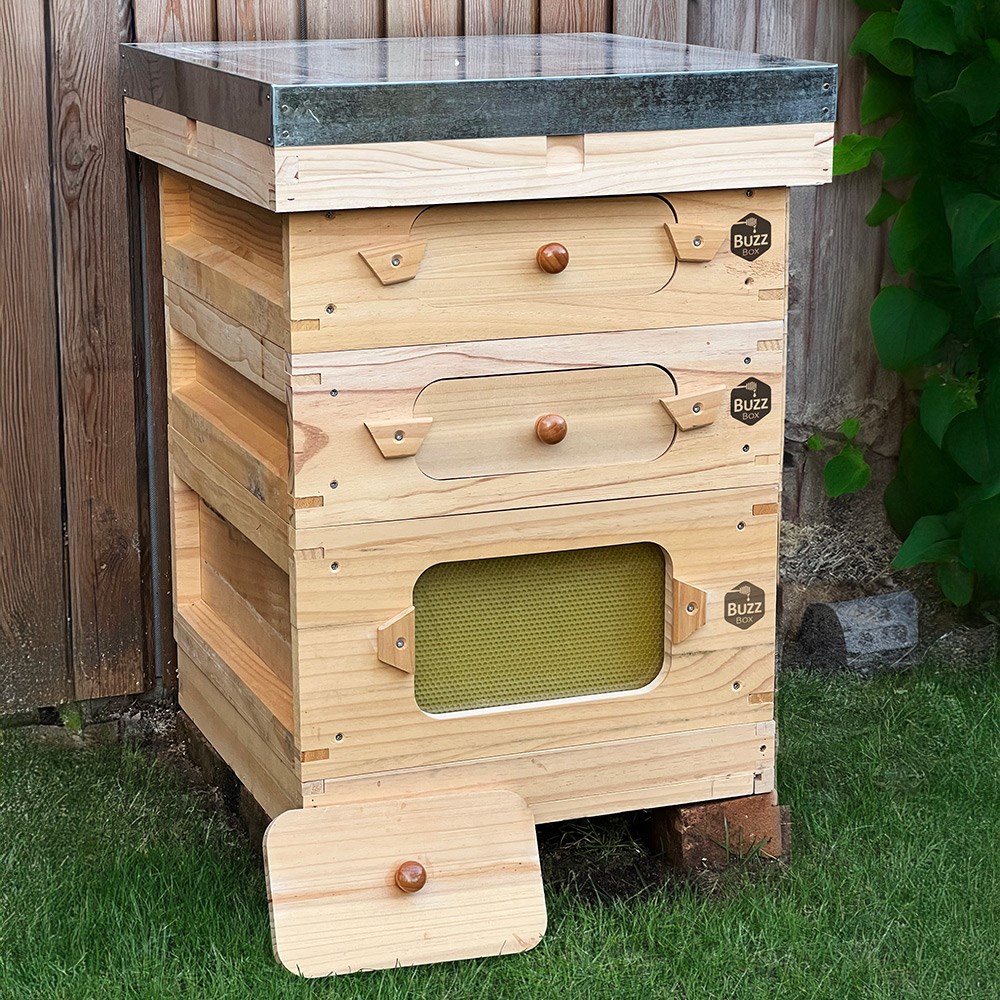 Complete bee keeper starter pack - buzz box