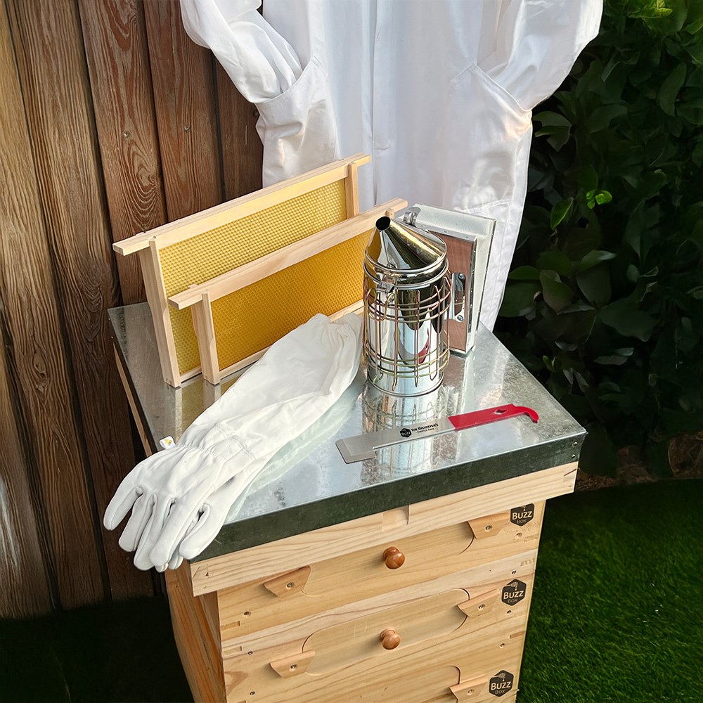 Complete bee keeper starter pack - buzz box