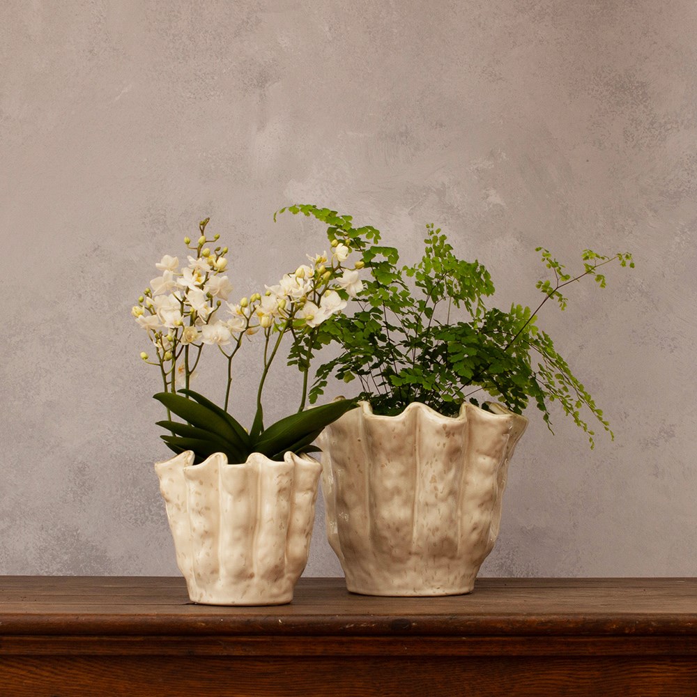 Rustic scalloped plant pot - ivory