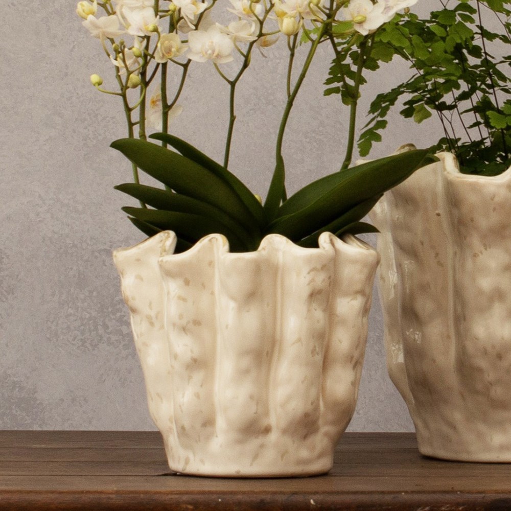 Rustic scalloped plant pot - ivory
