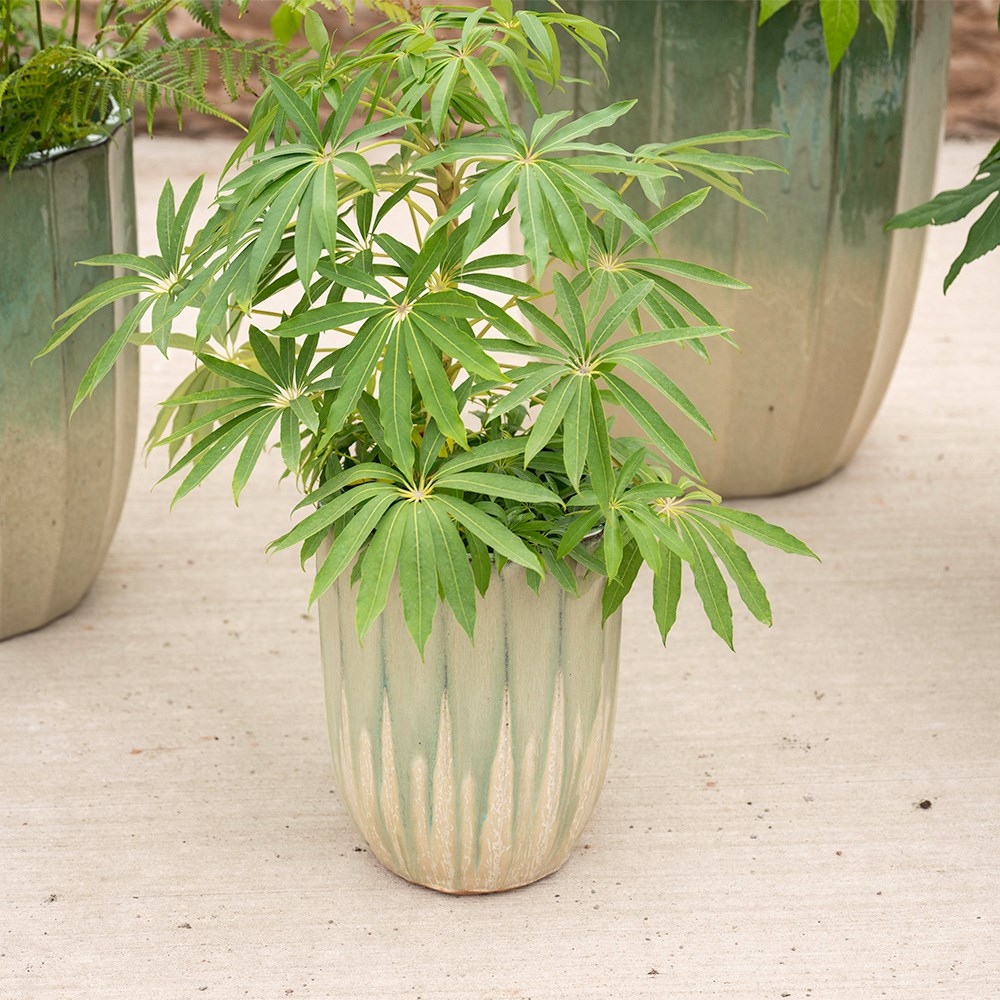 Ombre reactive glaze tall planter 