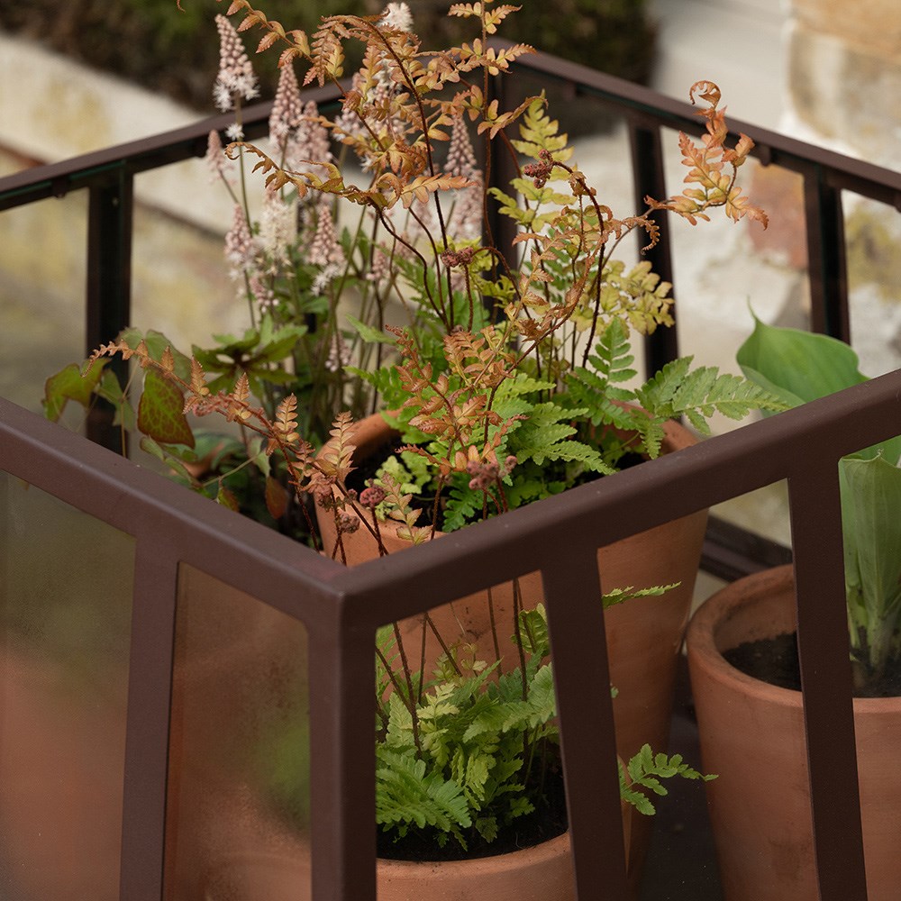 Square Victorian growhouse - dark chestnut