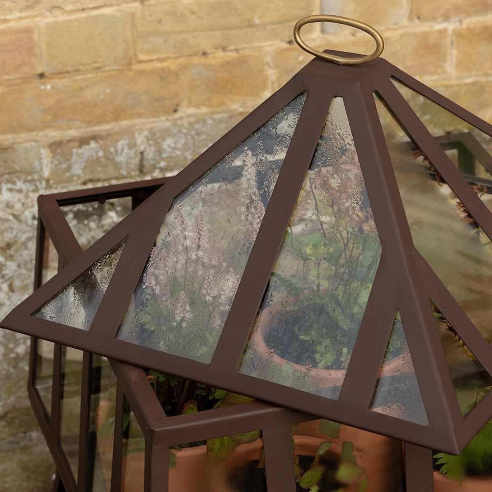 Square Victorian growhouse - dark chestnut