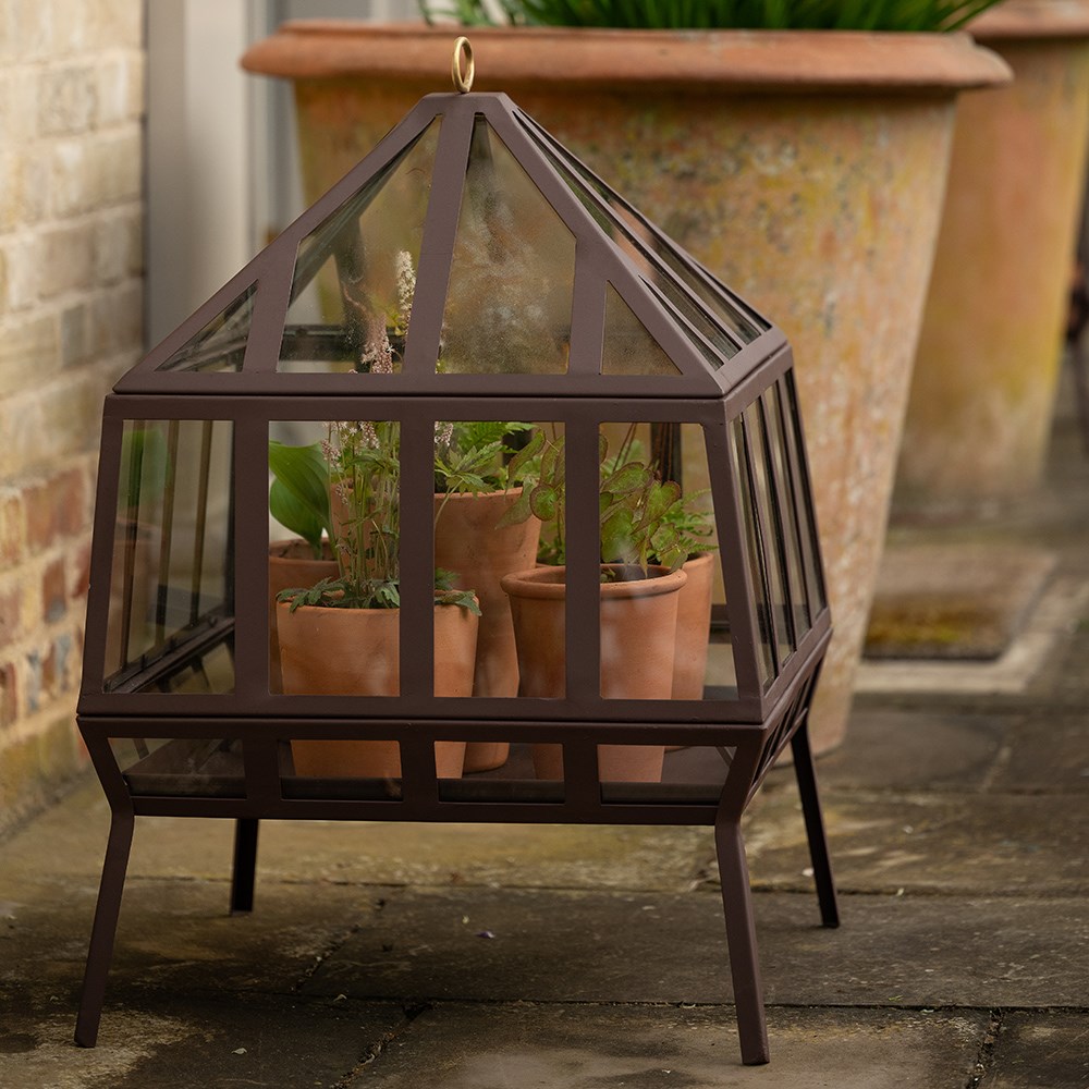 Square Victorian growhouse - dark chestnut