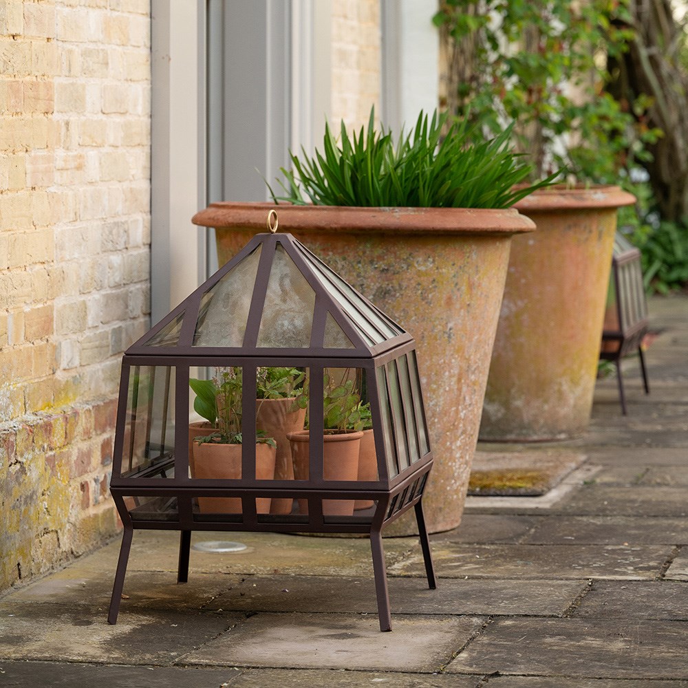 Square Victorian growhouse - dark chestnut