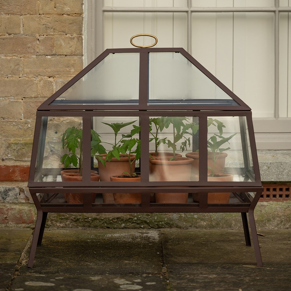 Rectangular Victorian growhouse - dark chestnut