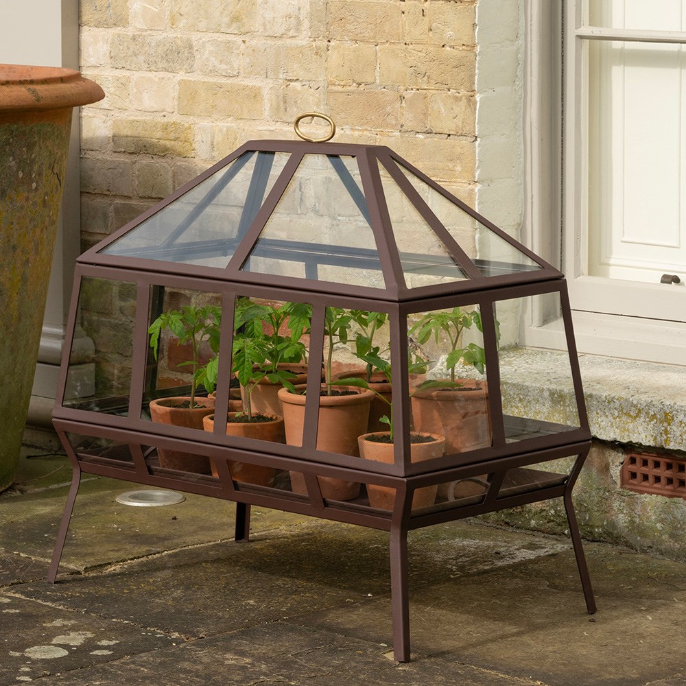 Rectangular Victorian growhouse - dark chestnut