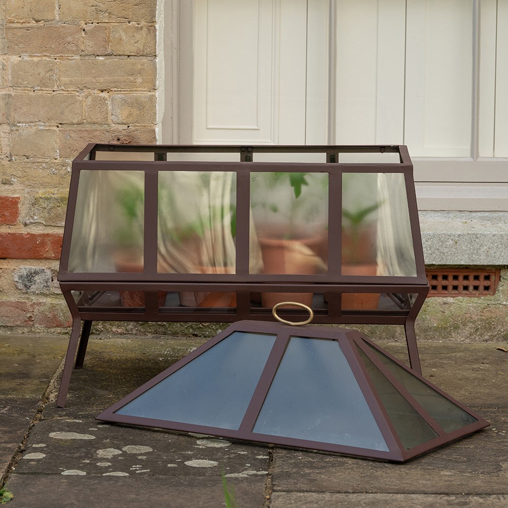 Rectangular Victorian growhouse - dark chestnut