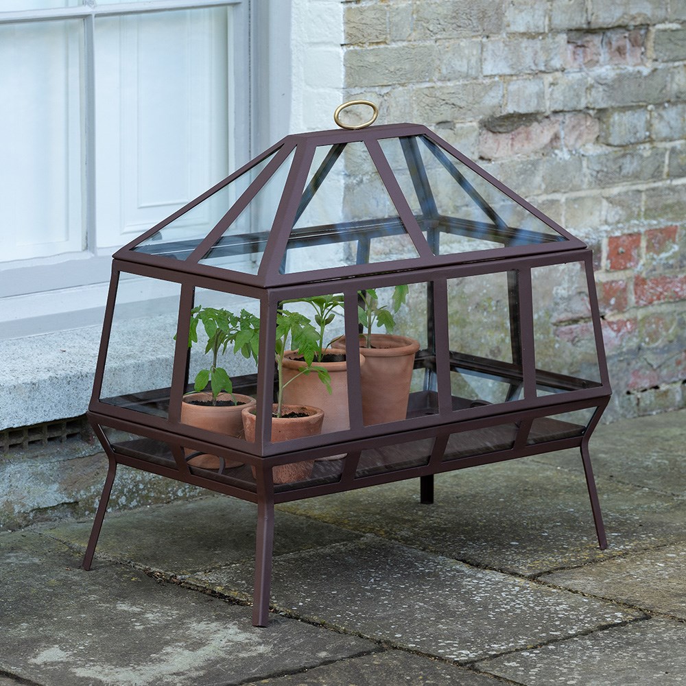 Rectangular Victorian growhouse - dark chestnut