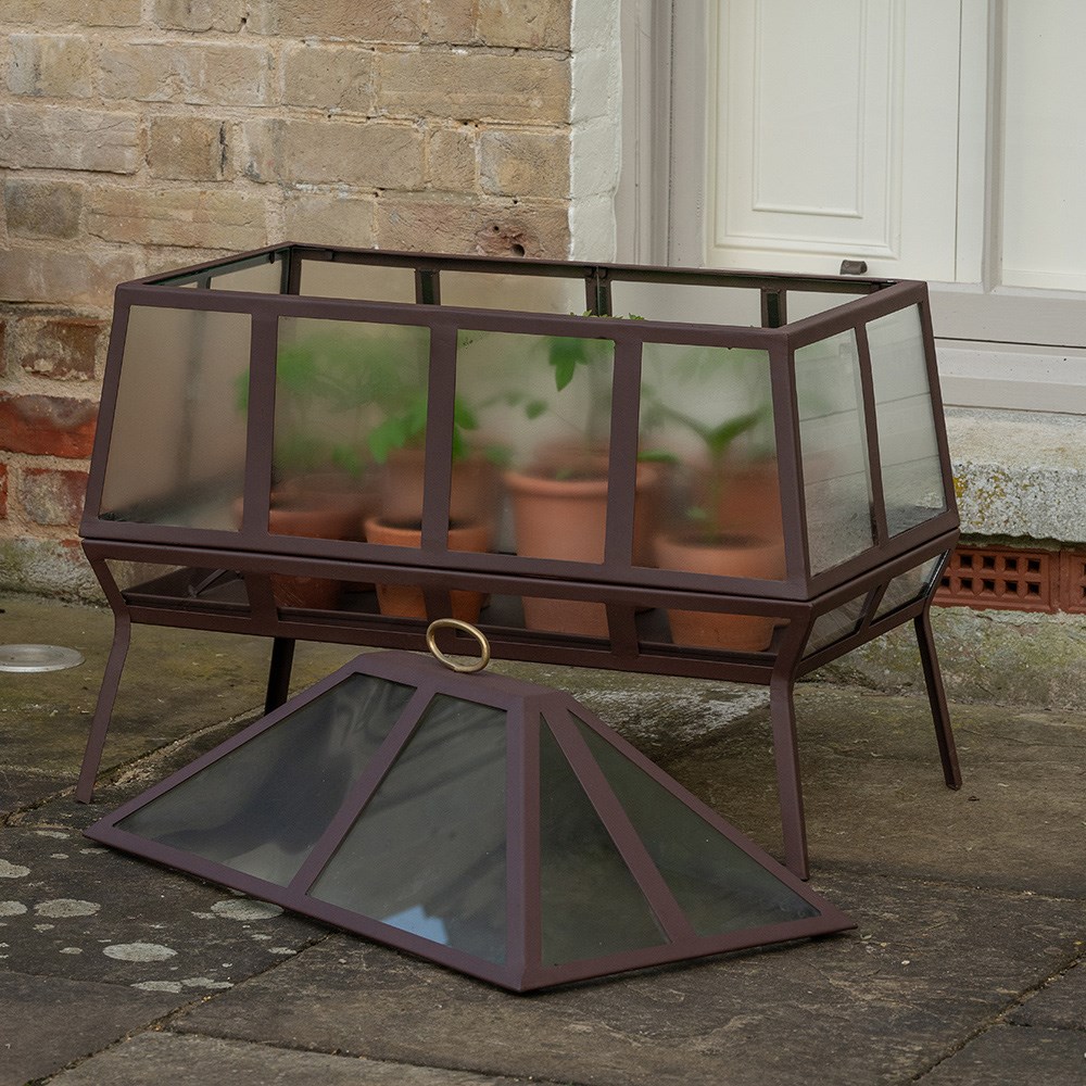 Rectangular Victorian growhouse - dark chestnut