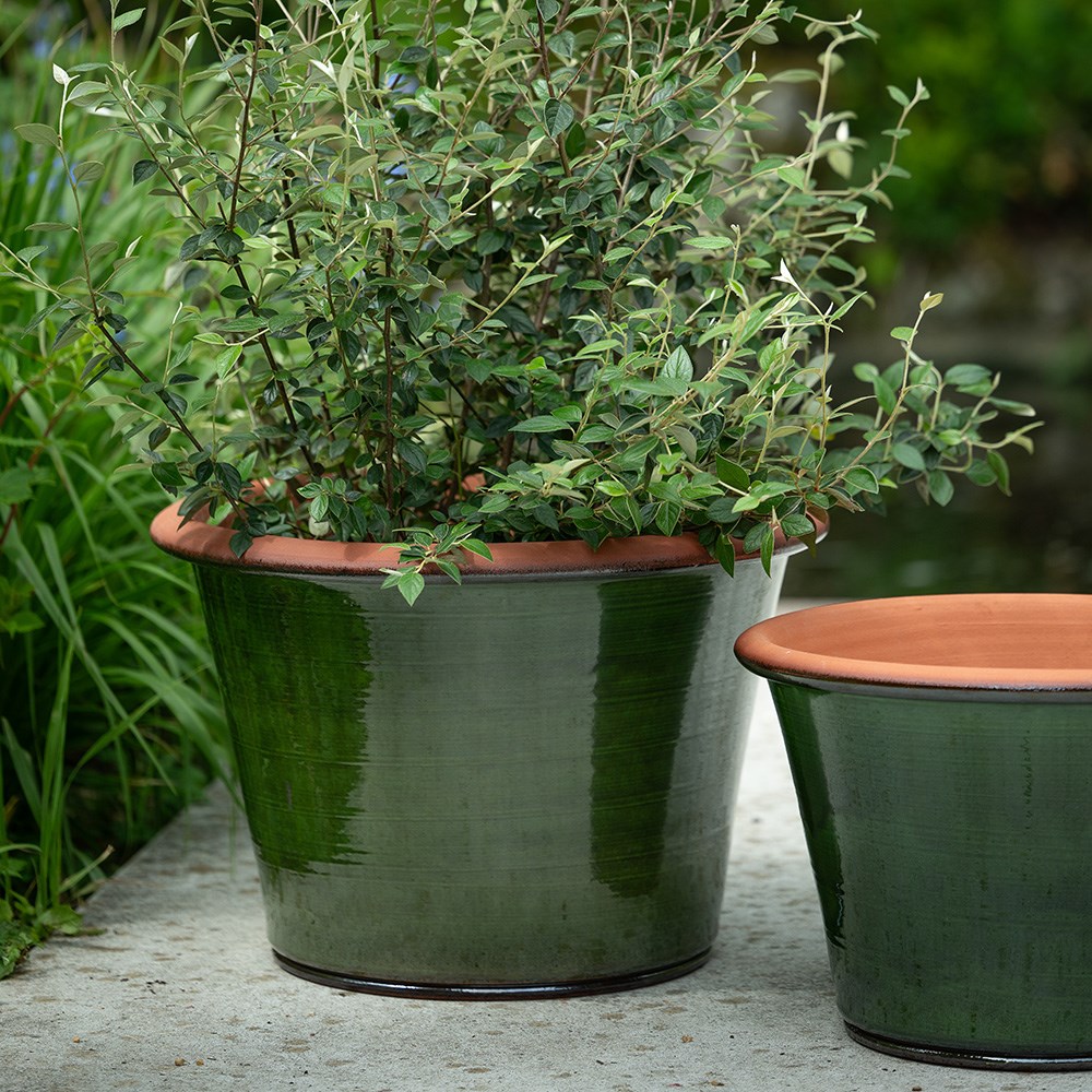 Glassy glazed terracotta planter - moss