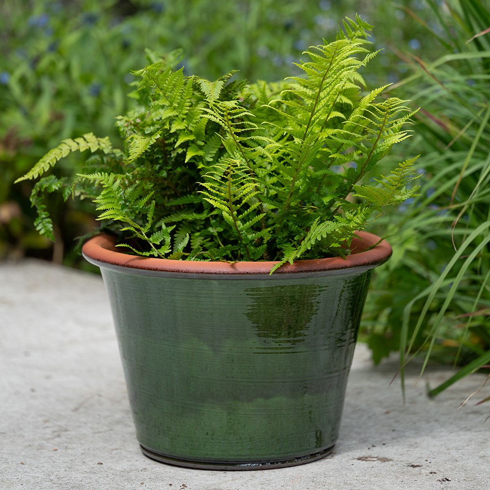 Glassy glazed terracotta planter - moss