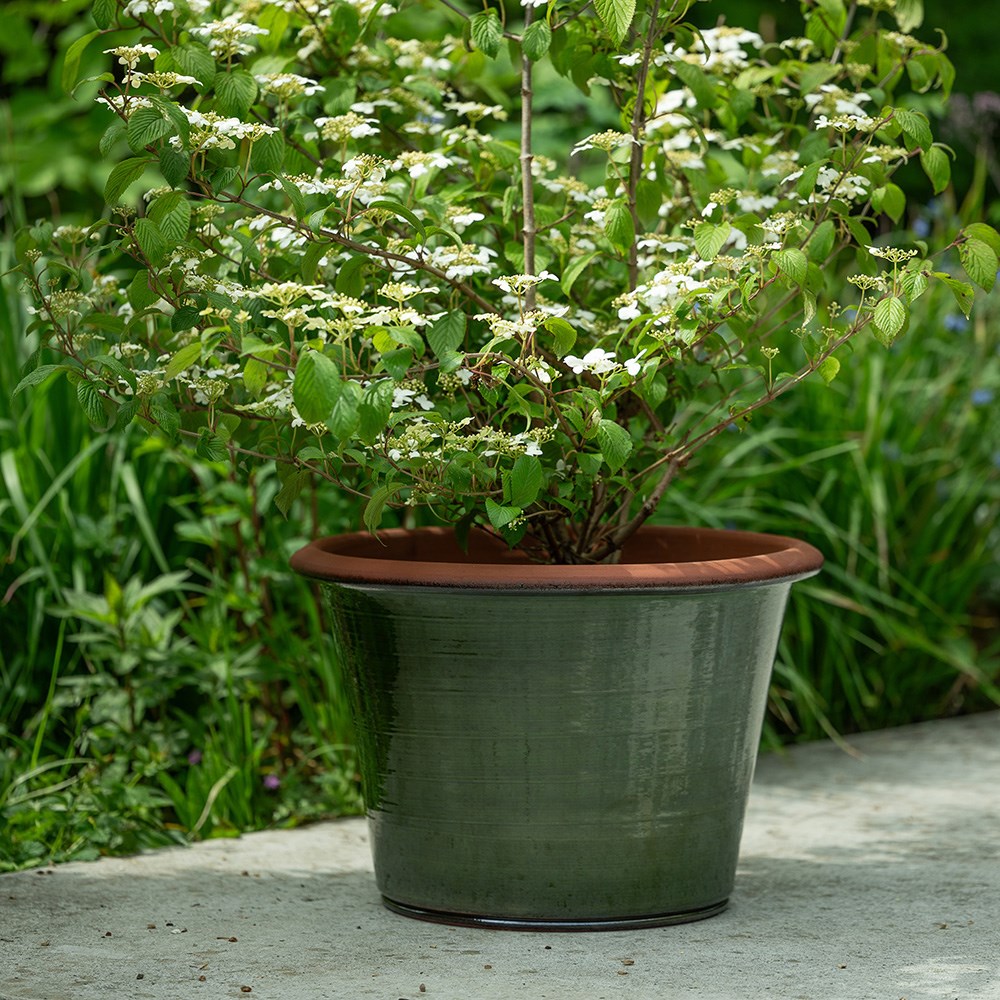 Glassy glazed terracotta planter - moss