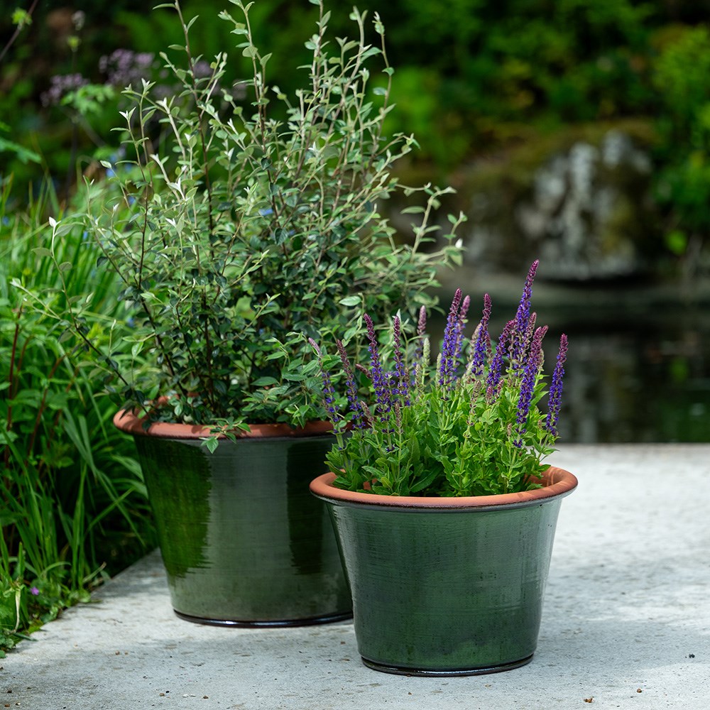 Glassy glazed terracotta planter - moss