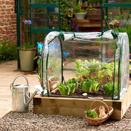 Medium seedling cloche