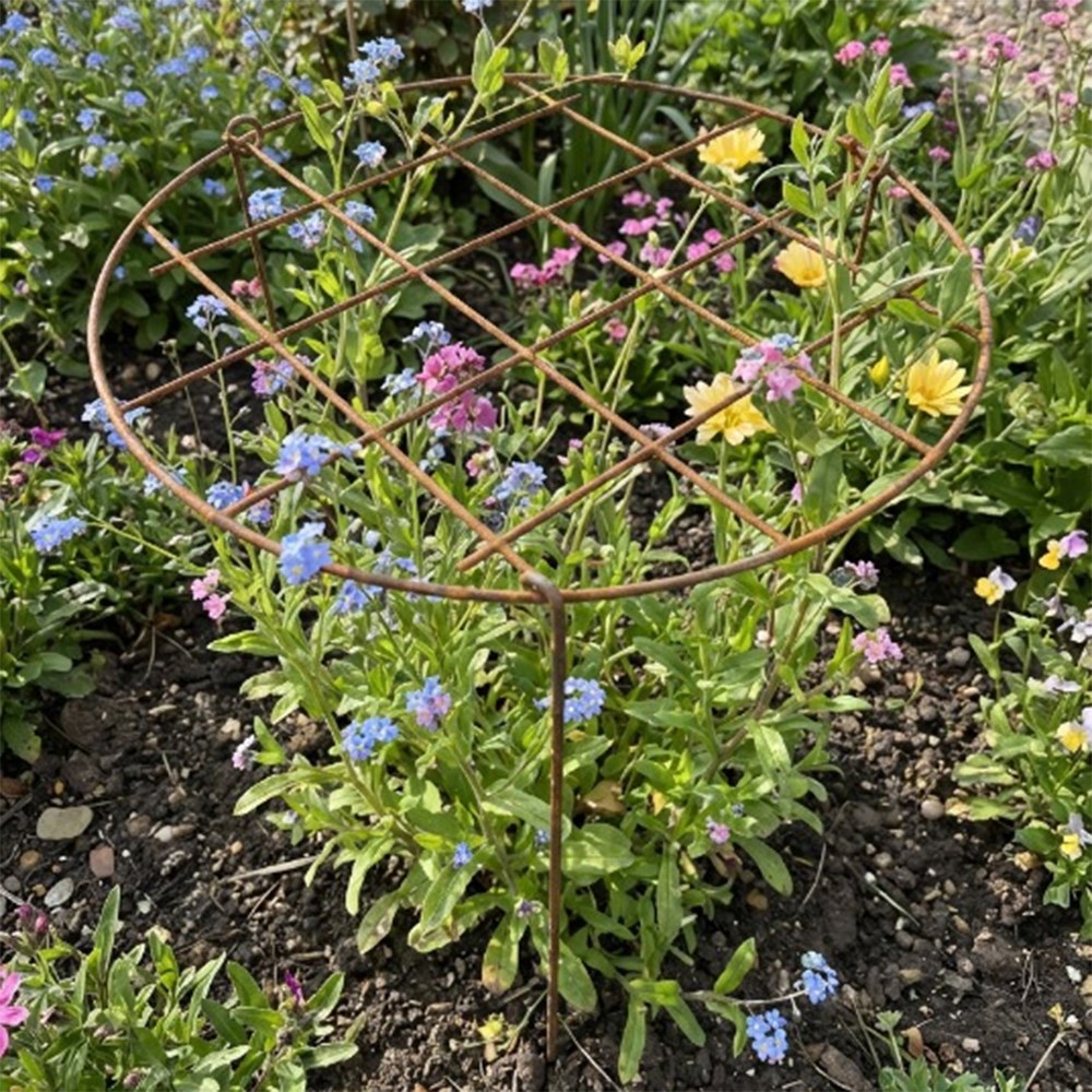 Grow through ring support - rust