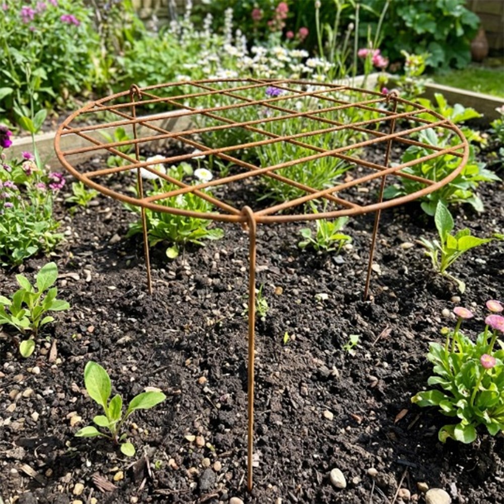 Grow through ring support - rust