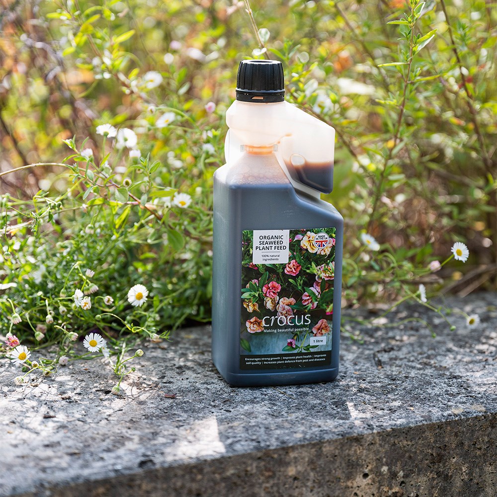 Crocus organic seaweed plant feed