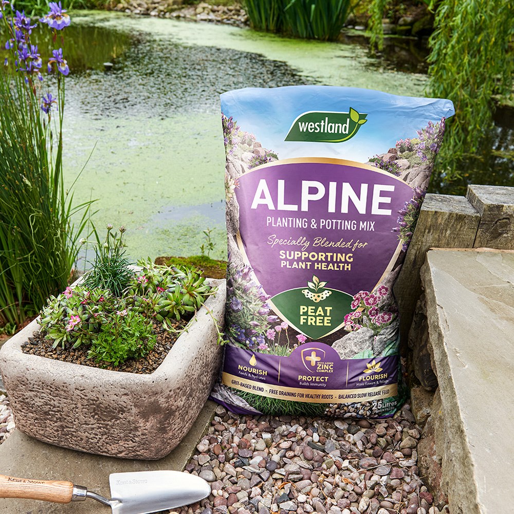 Alpine planting & potting peat-free mix