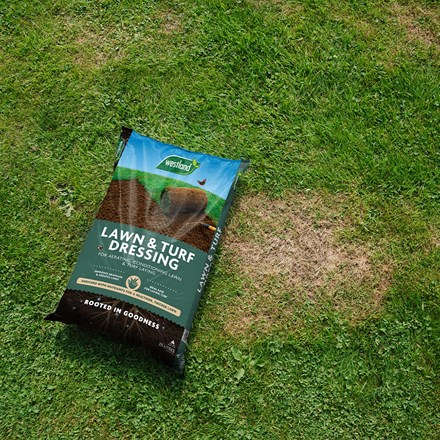 Lawn & turf dressing