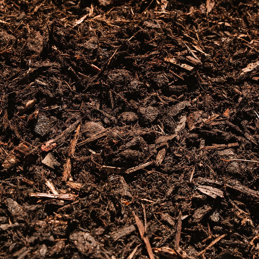 Bed & border bark