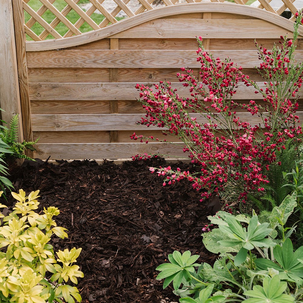 Bed & border bark