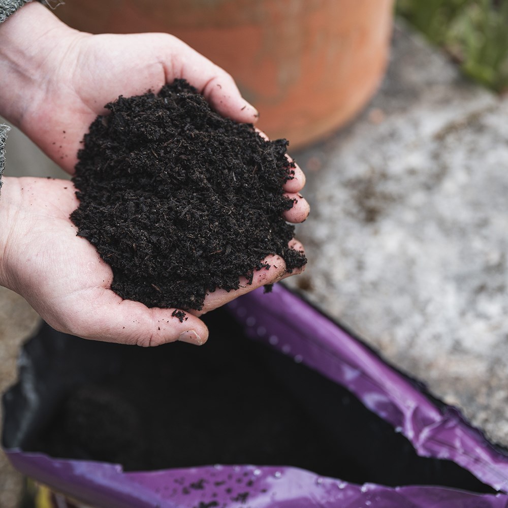 Organic gold fine mulch