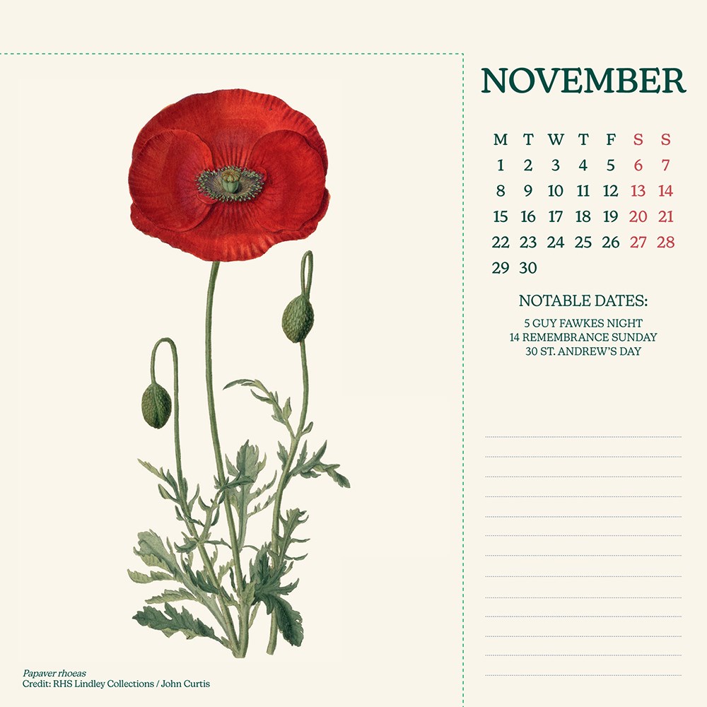 RHS 2027 desk easel calendar