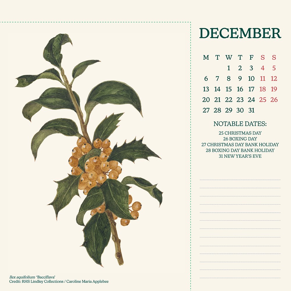 RHS 2027 desk easel calendar